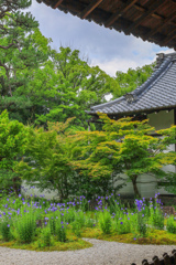 廬山寺