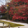 天授庵の紅葉