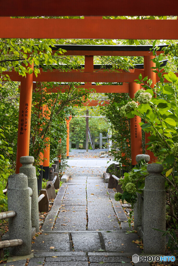 平野神社で。