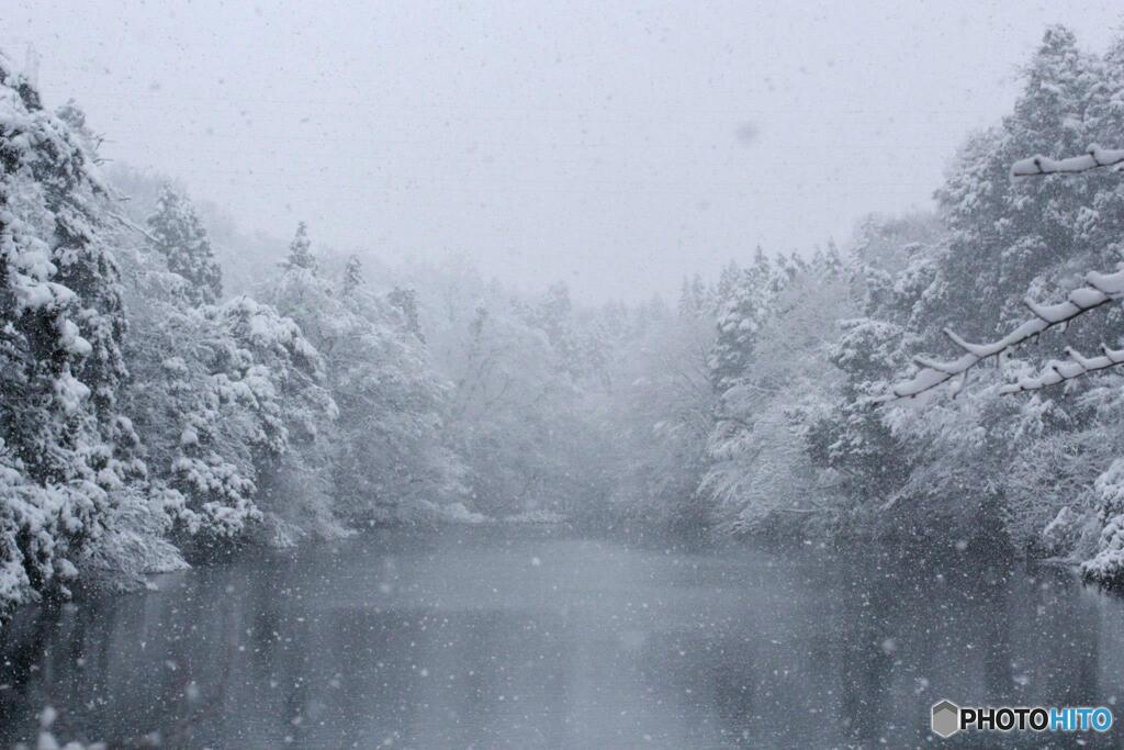 氷る水面