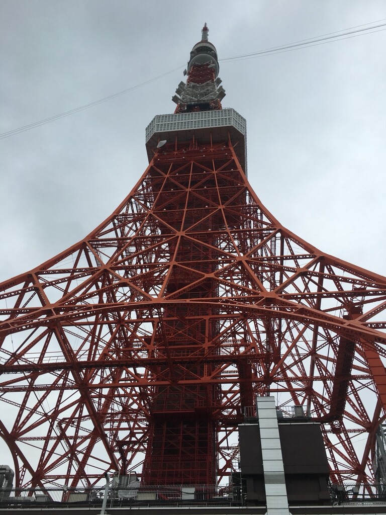 東京タワーを下からみるか、上からみるか。。。