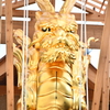 祇園祭　山鉾立てにて