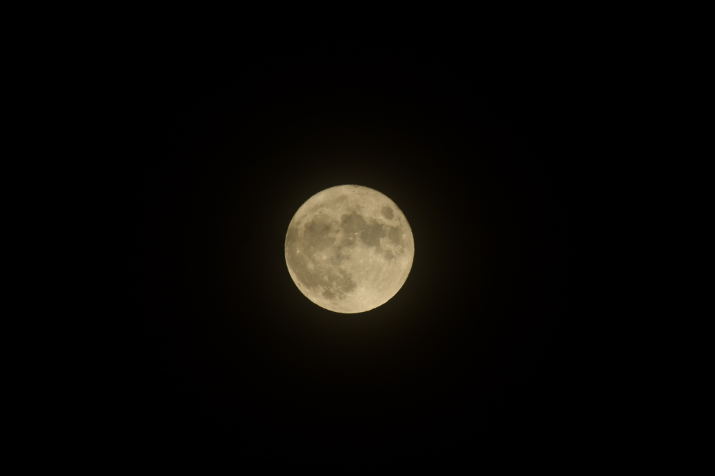 昨夜の満月