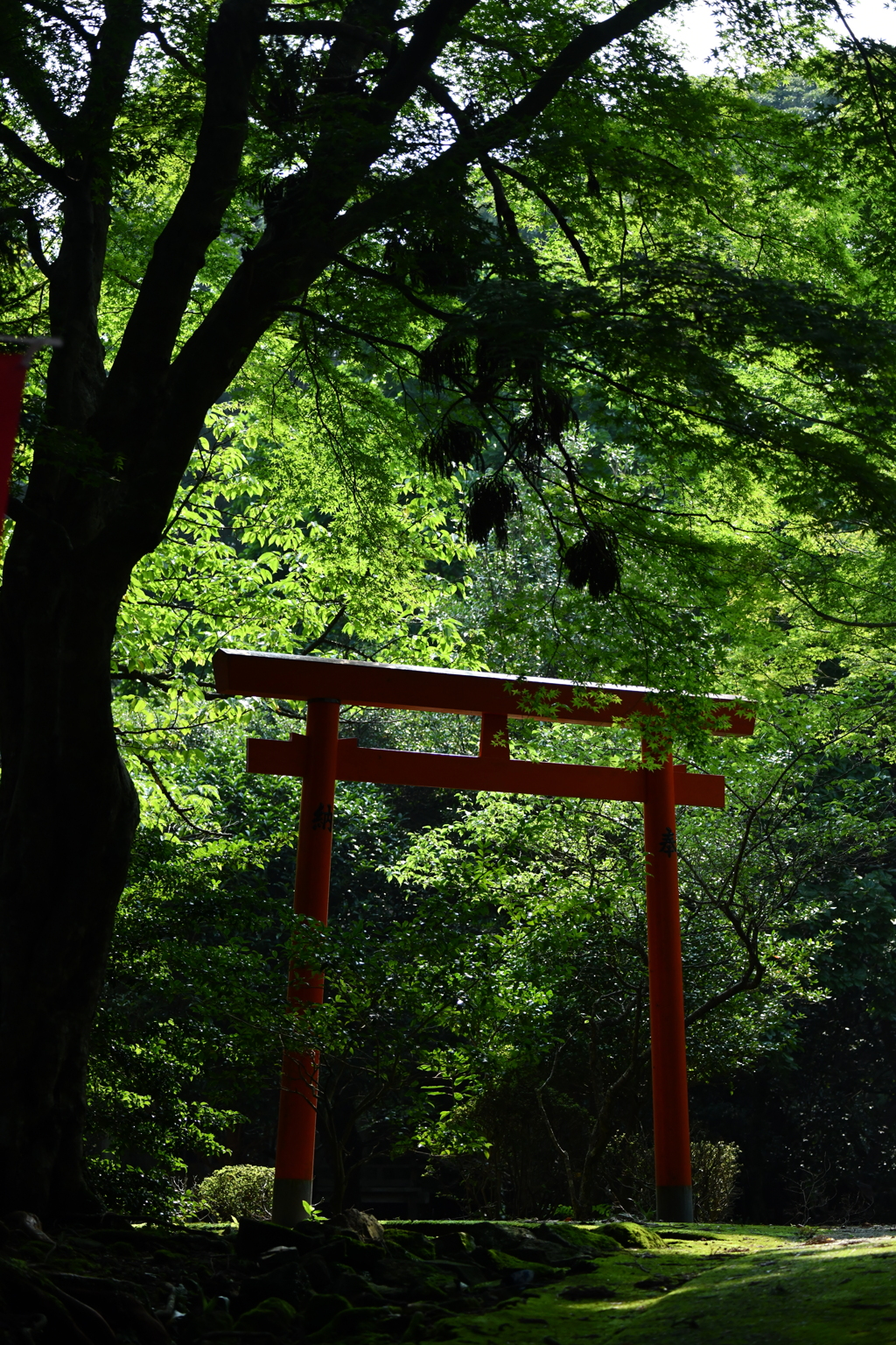 鳥居