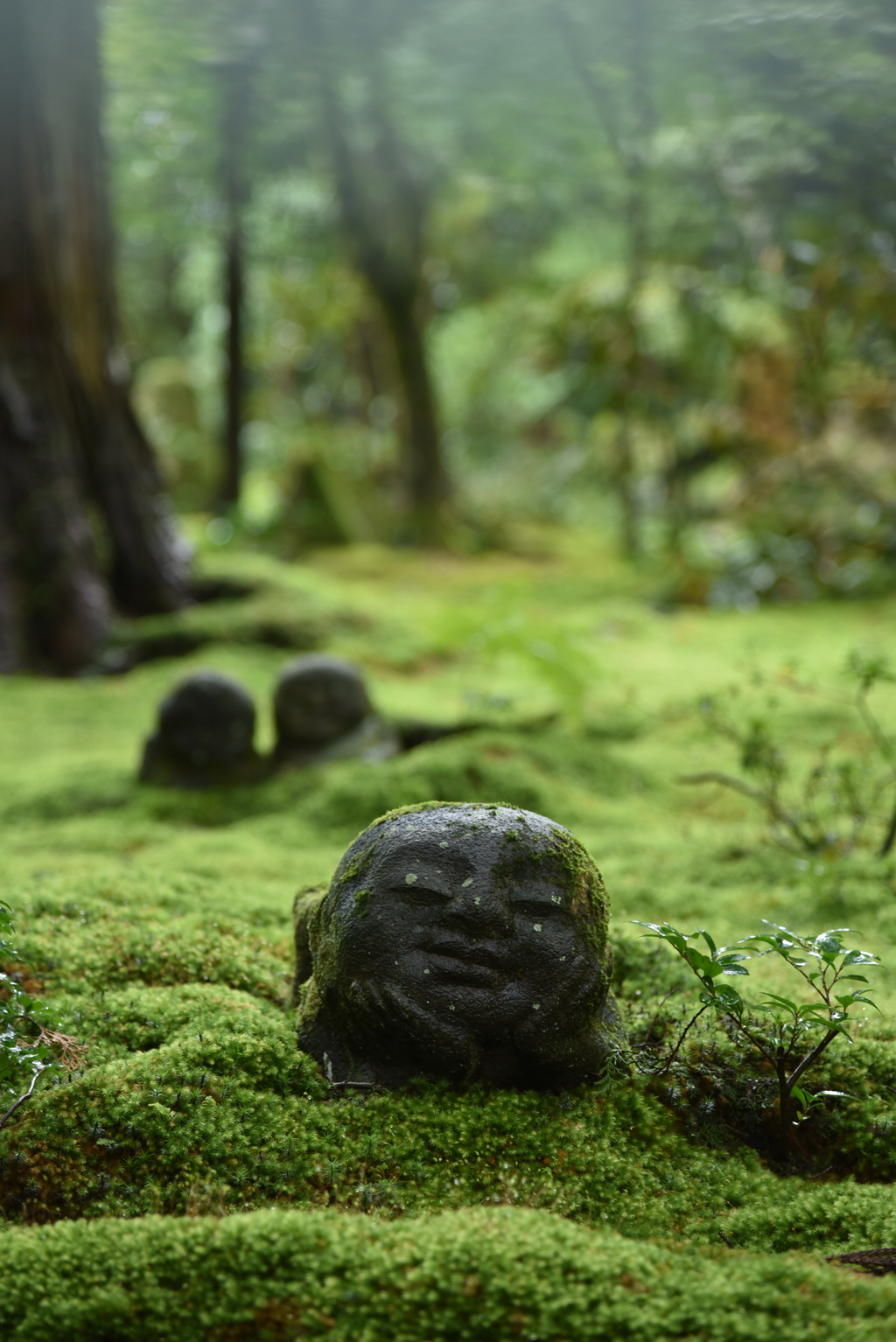 大原三千院　わらべ地蔵さま