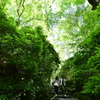 瑠璃光院　参道