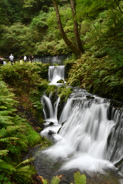 白糸の滝