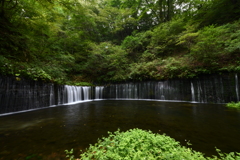 白糸の滝