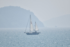 和歌浦を航行するヨット