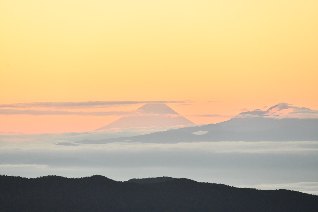 富士山を望む