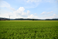 伊賀あたりの田舎風景