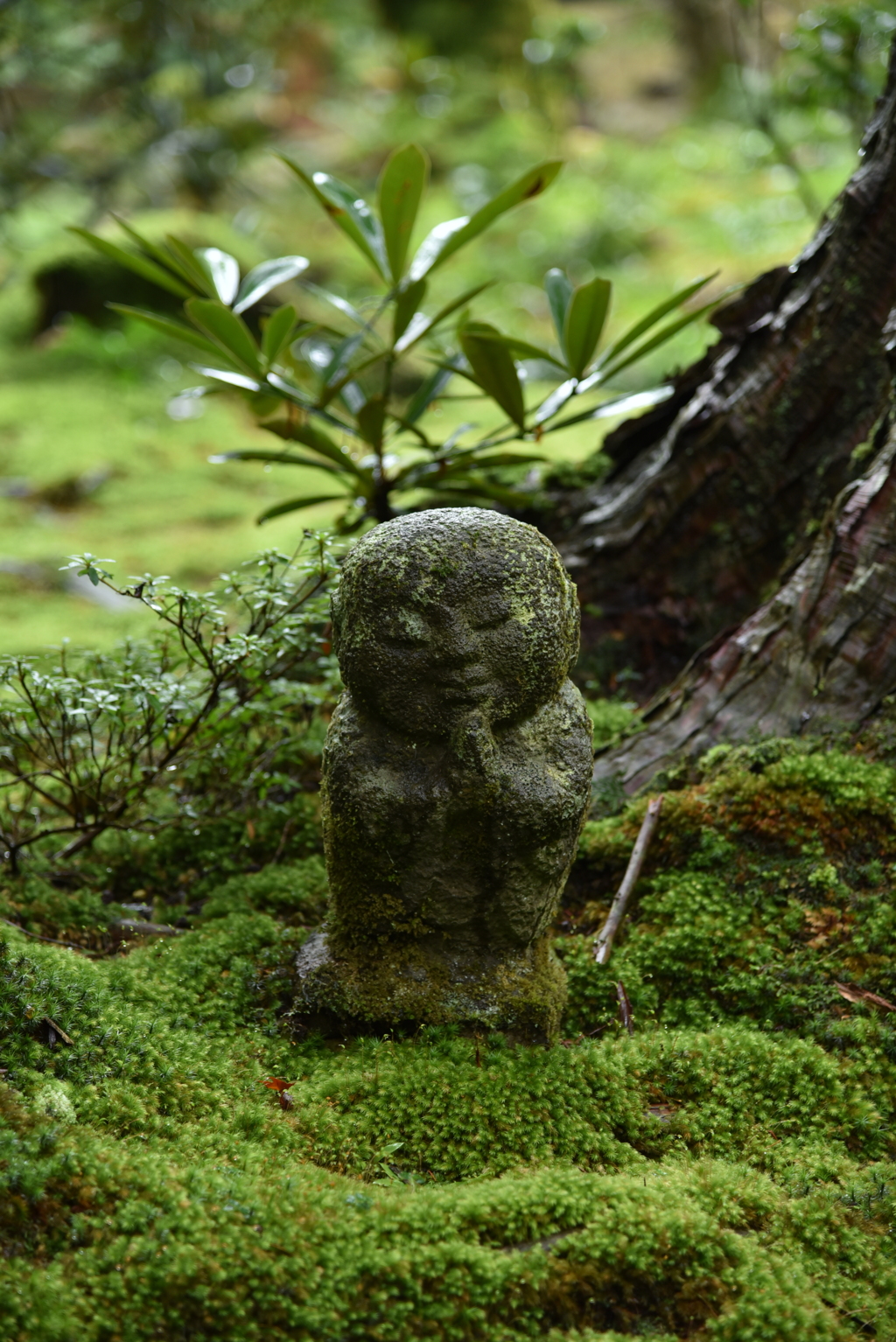 大原三千院　わらべ地蔵さま