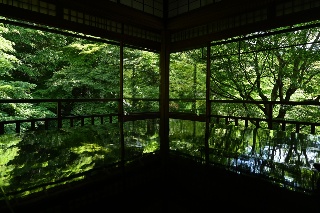 瑠璃光院
