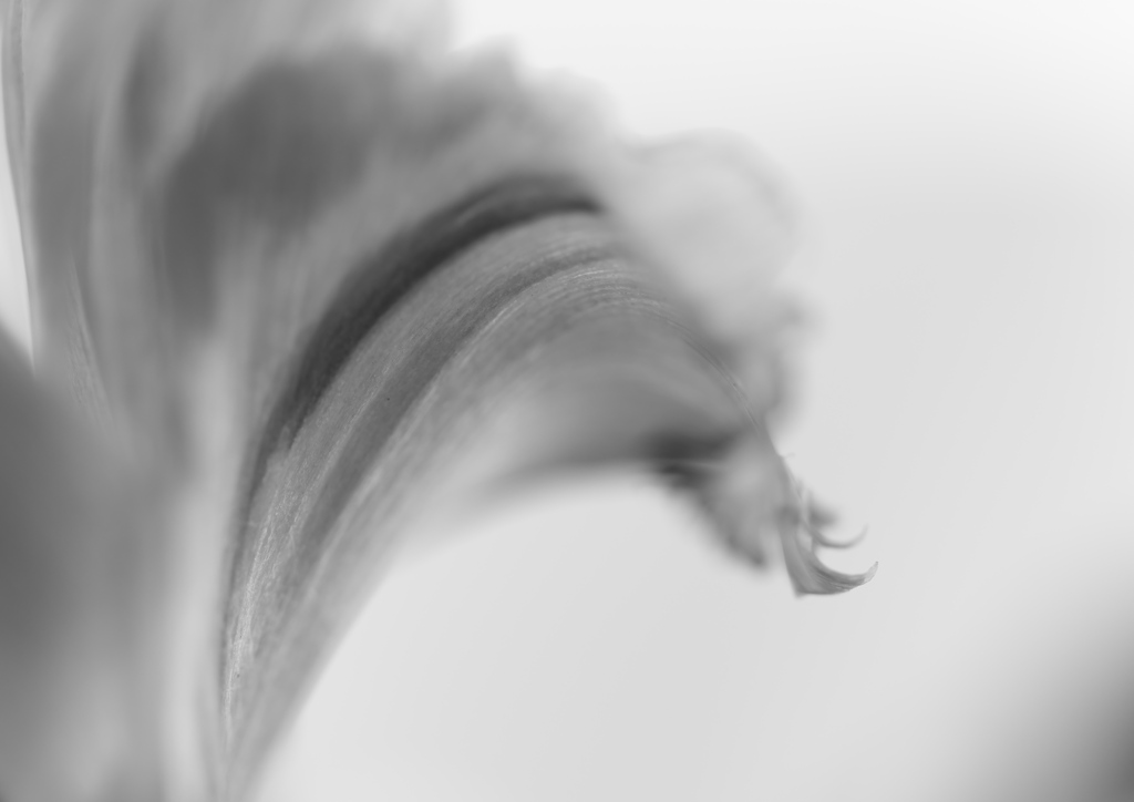 流れ