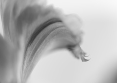 流れ