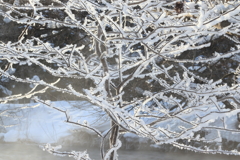 霧氷