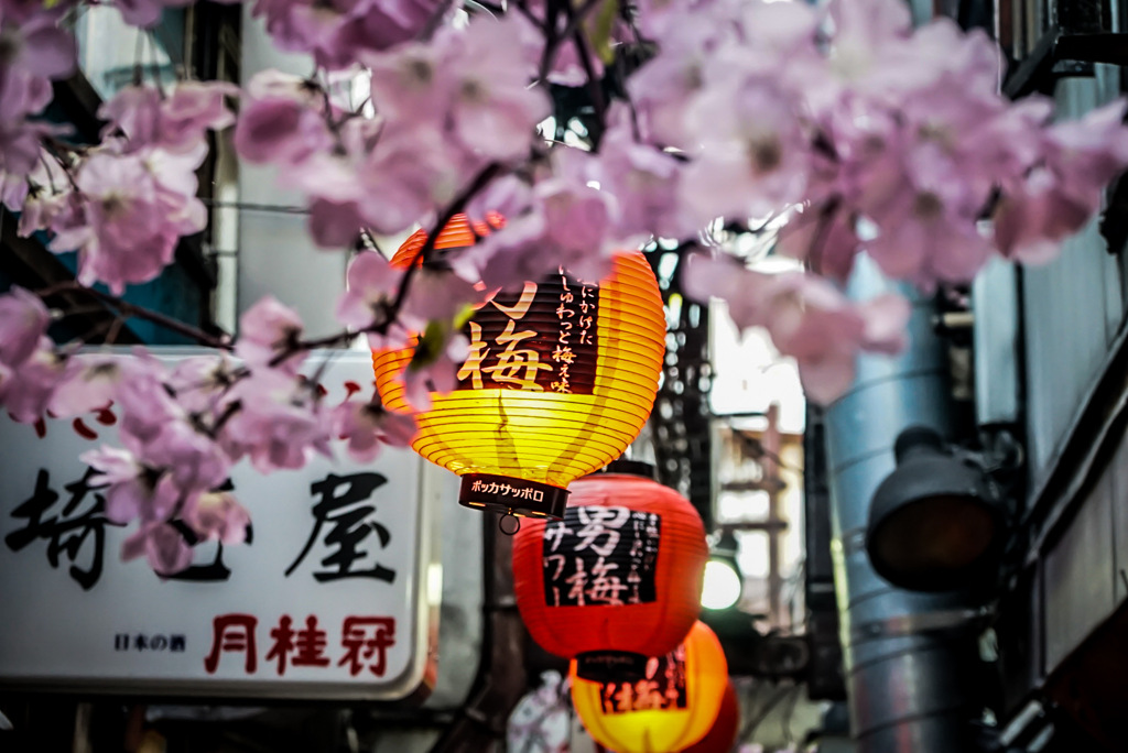 新宿思い出横丁