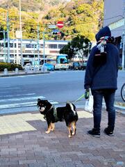 なんだよ、見てるんじゃねぇよ