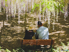 夫婦の会話