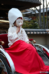 狐の嫁入り