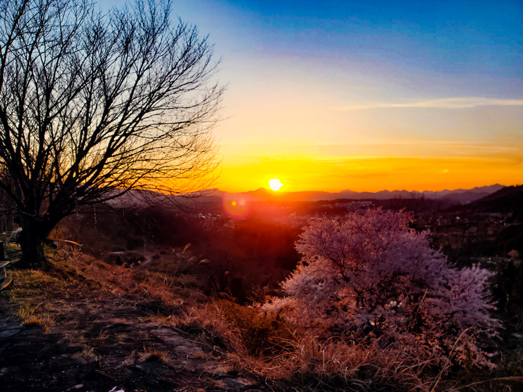 夕焼け