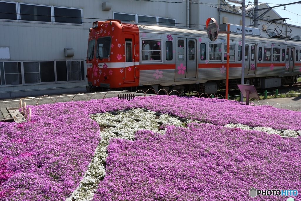 岳南電車と富士山