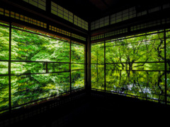 深緑の瑠璃光院