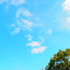 贅沢とは不純物が少ない冬の空