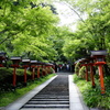 夏奥京都鞍馬寺　