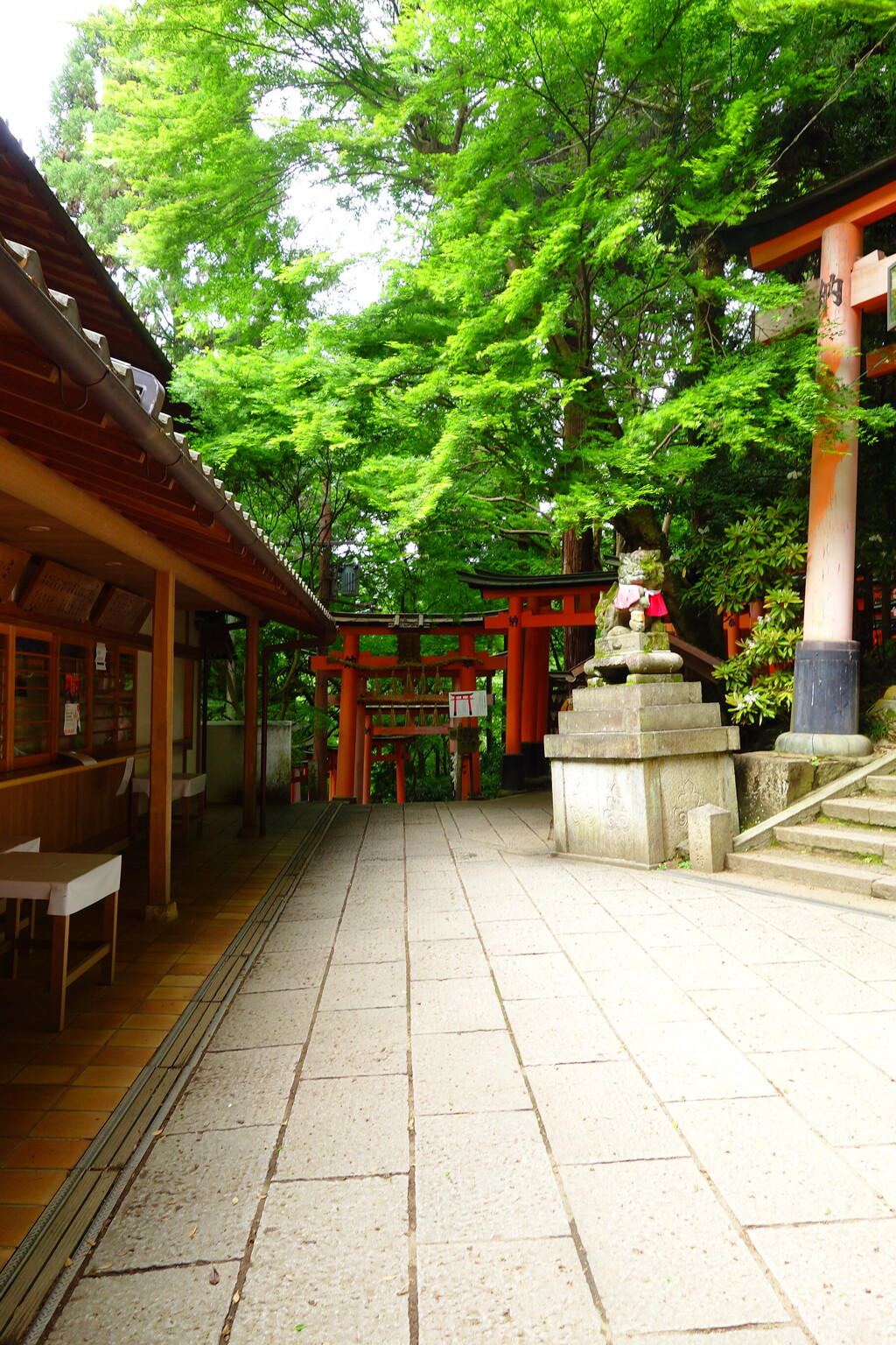 千本鳥居を駆けた先