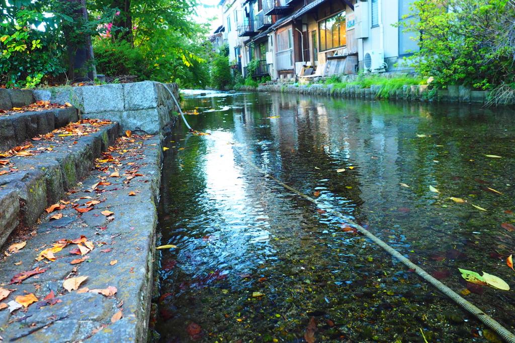 京都街中の涼