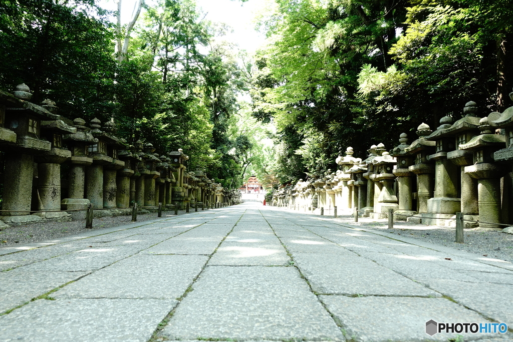 石清水八幡宮～序　京都伏見 