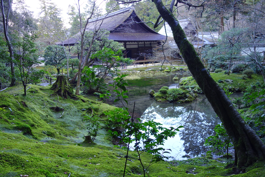 深秋　惜しむ緑