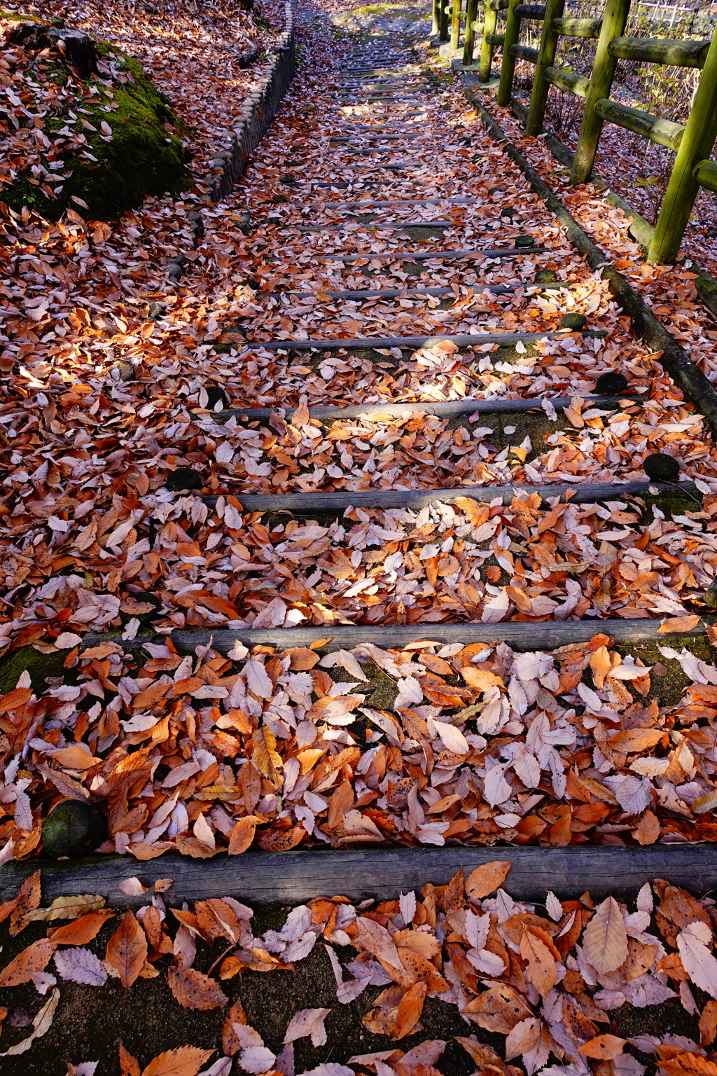 次の緑～紅になります　ように