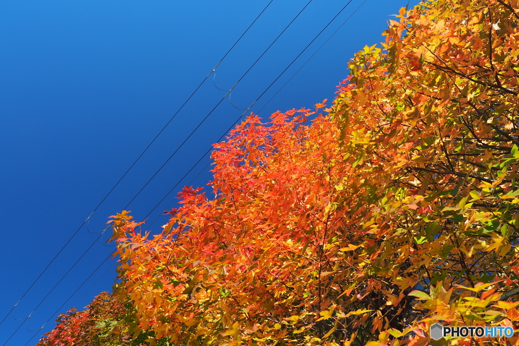 秋は移動性高気圧の乾いた空気の～　※澄んで見える