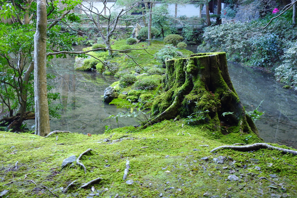 深秋　惜しむ緑