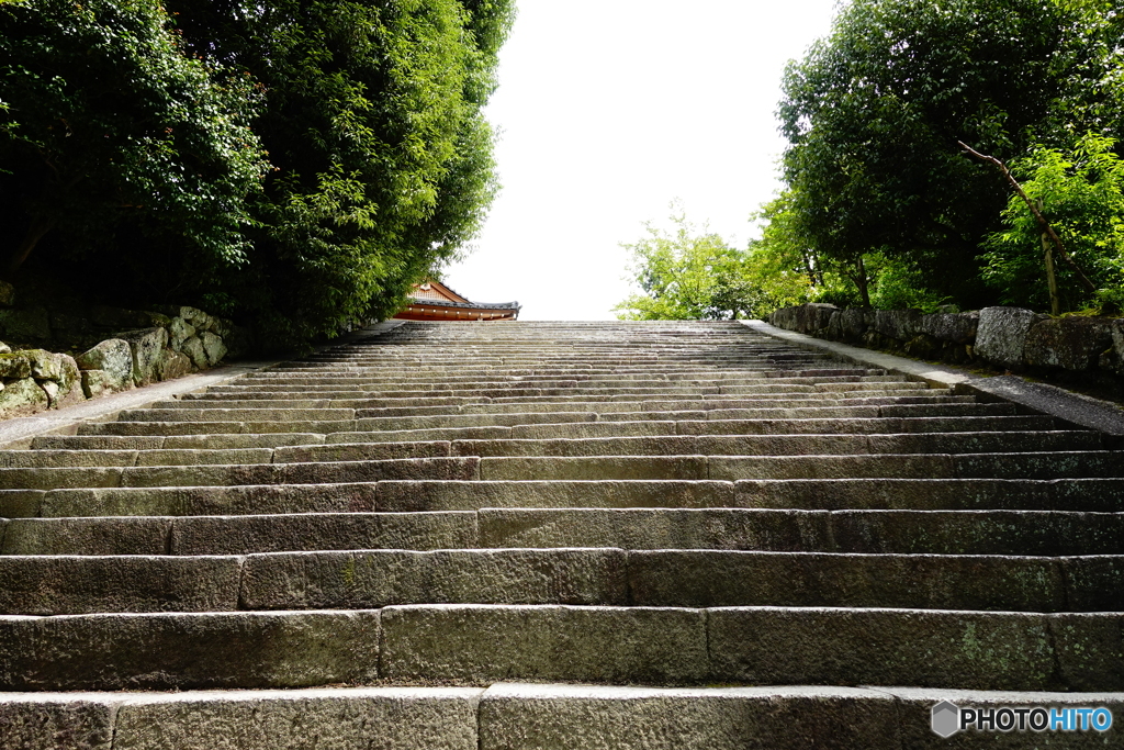 参拝までにえづく大石階段　京都知恩院　