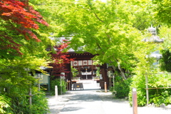 青い道と謎楽器と京都のタワー
