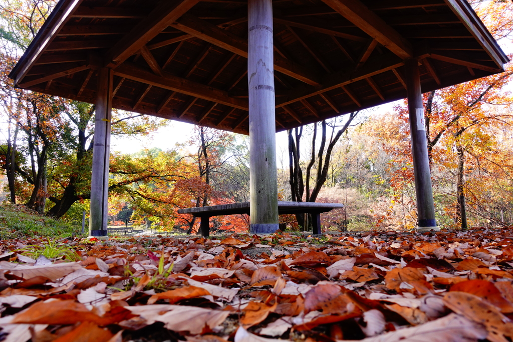 次の緑～紅になります　ように