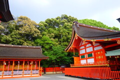 千本鳥居を駆ける前