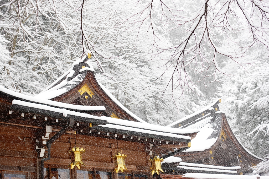 京都　貴船神社参拝※雪国ではない