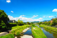 京都鴨川をひたすら眺める贅沢