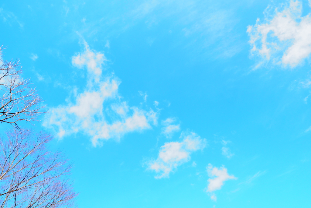 贅沢とは不純物が少ない冬の空