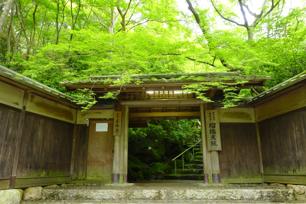 疫病が無ければ行きたかった_瑠璃光院①