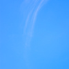 DSC_1394 (1)