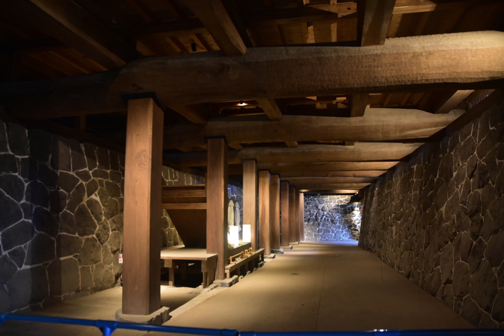 DSC_0951　熊本城