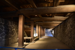 DSC_0951　熊本城