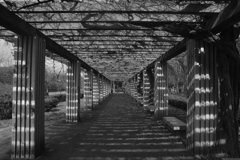 DSC_1932_1