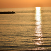 DSC_1010_1 (2)