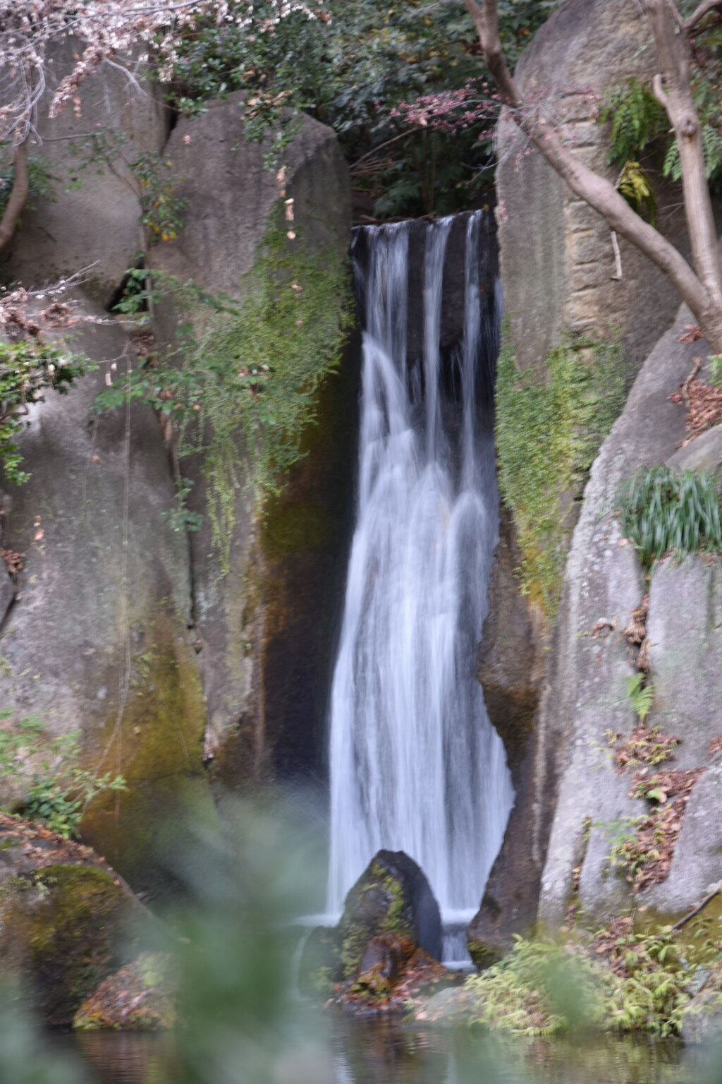 DSC_1809_1
